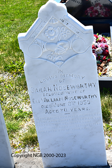 Eli & Jane Noseworthy