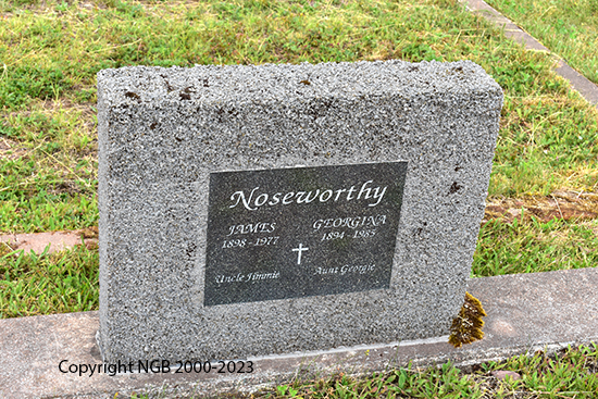 James & Georgina Nseworthy