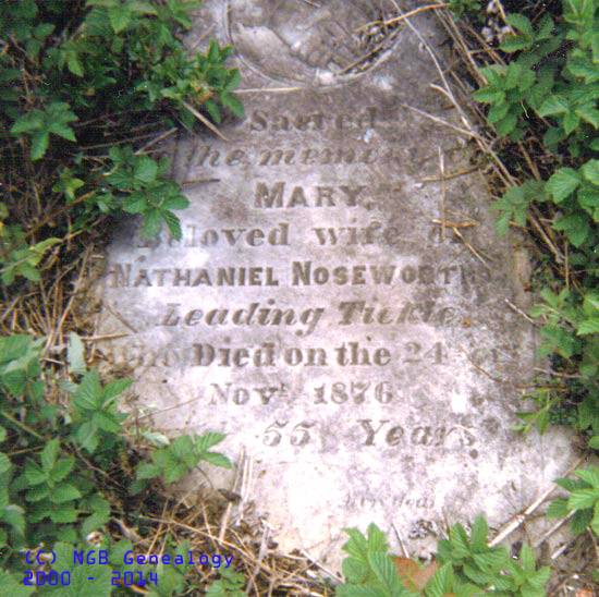 Mary Noseworthy