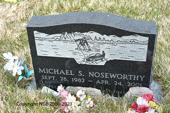 Michael S.  Noseworthy