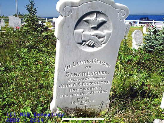 Sarah Lucinda Noseworthy