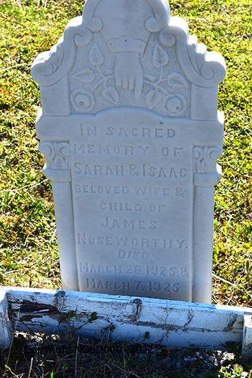 Sarah & Isaac Noseworthy