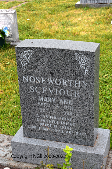 MaryAnn Noseworthy-sceviour