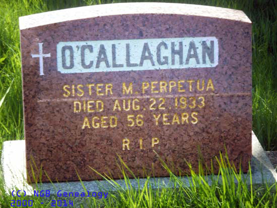 Sr. M. Pertetua O'Callaghan