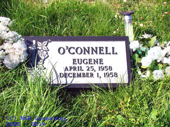 Eugene O'Connell