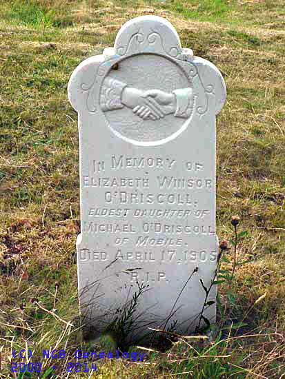 Elizabeth O'Driscoll