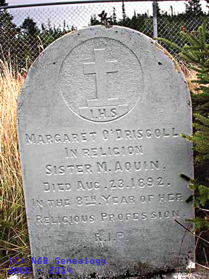 Margaret O'Driscoll