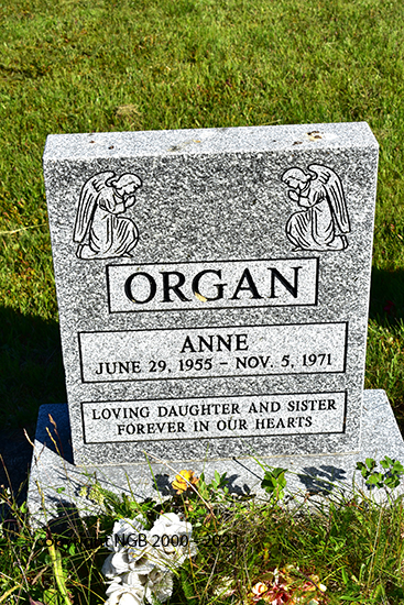 Anne Organ