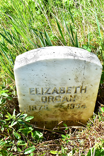 Elizabeth Organ