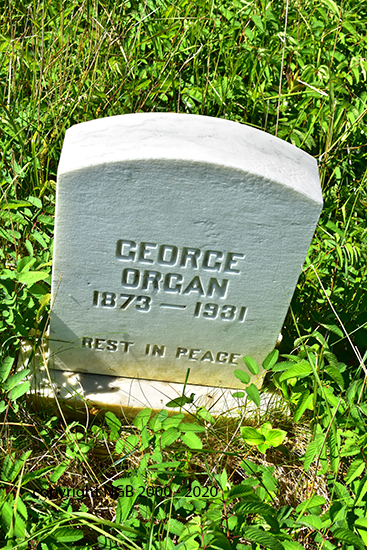 George Organ