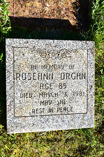Roseann Organ