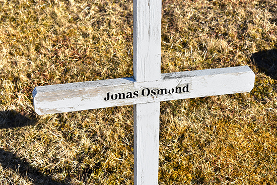 Jonas Osmond