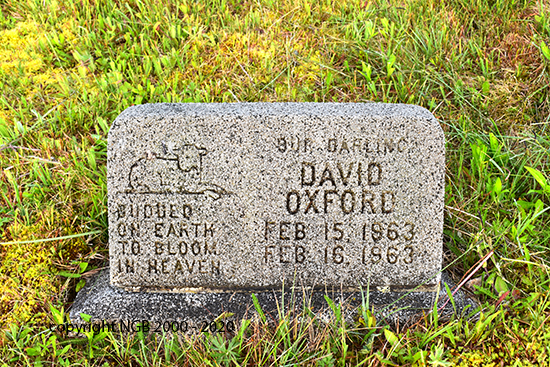 David Oxford
