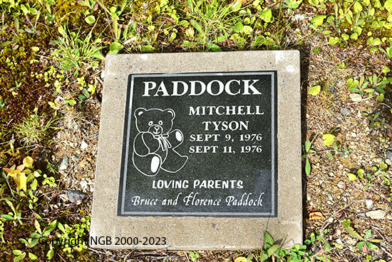 Mitchel Tyson Paddock