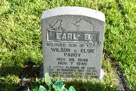 Earl B. Pardy