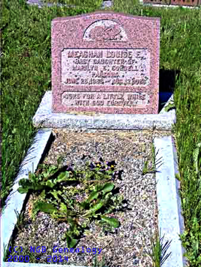 Meagham Louise E. PARSONS