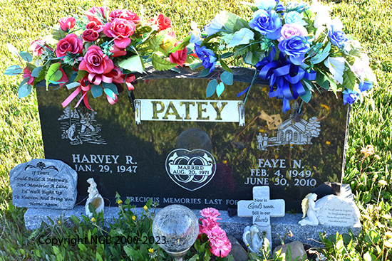 Faye N. Patey