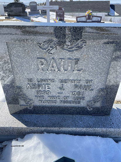 Annie J. Paul
