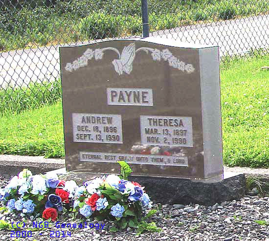 ANDREW AND THERESA PAYNE