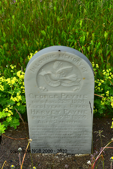 George & Harvey Payne