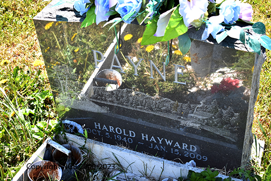 Harold Hayward Payne