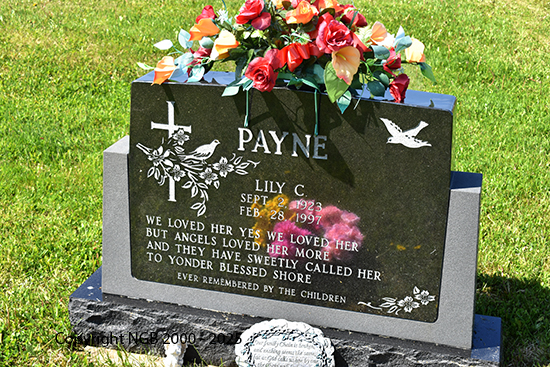 Lily C. Payne