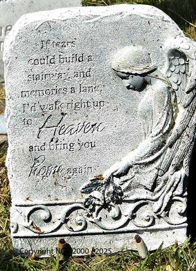 William Thomas Payne