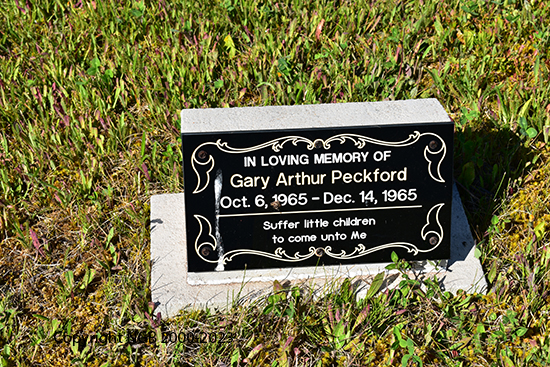 Gary Arthur Peckford