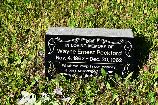 Wayne Ernest Peckford