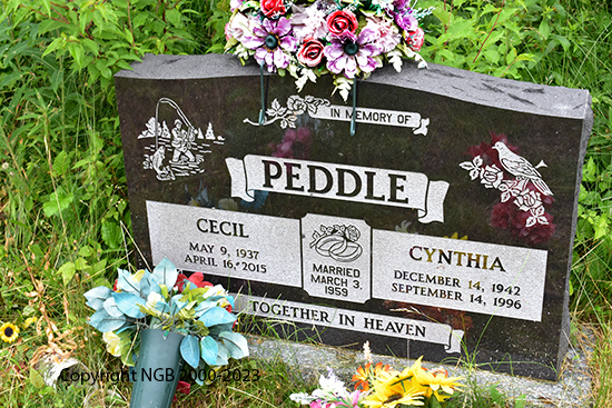 Cecil & Cynthia Peddle