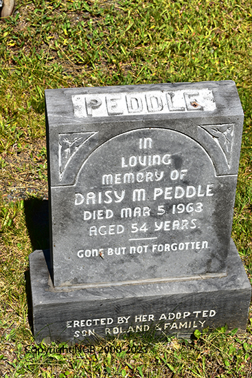 Daisy M. Peddle