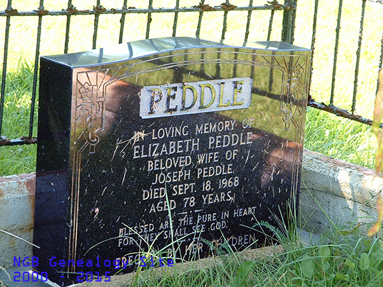 Elizabeth Peddle
