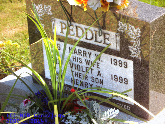 Harry and Violet Peddle