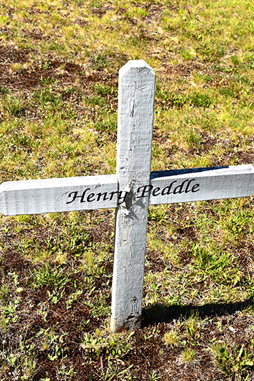 Henry Peddle