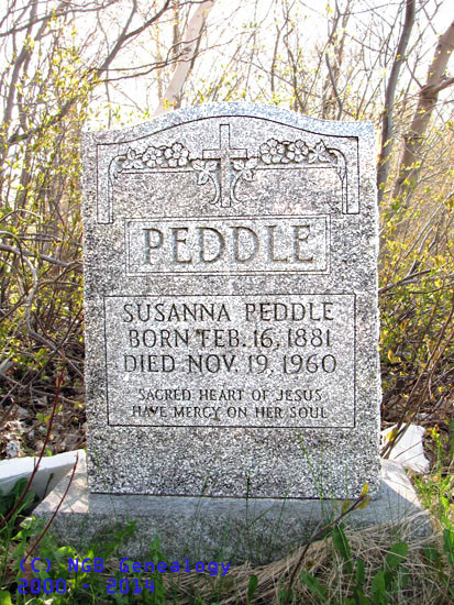 Susanna Peddle