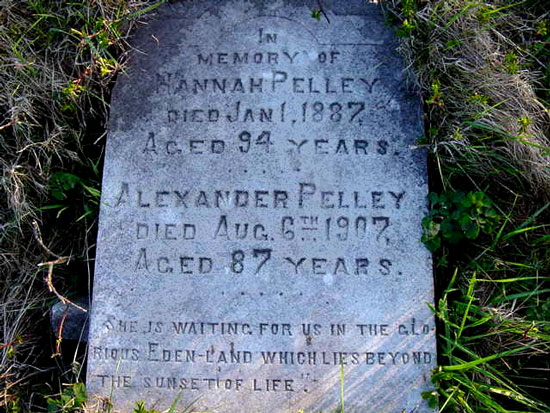 Alexander & Hannah Pelley