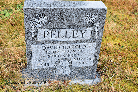 David Harold Pelley