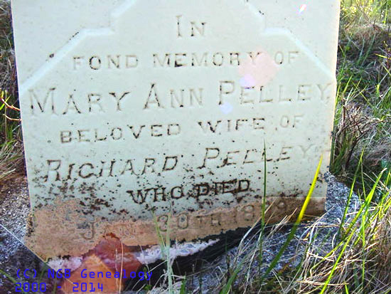 Mary Ann Pelley