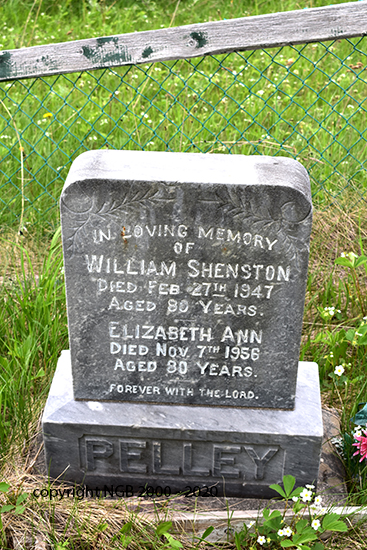William Shenston