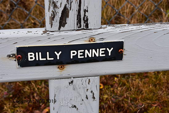 Billy Penney