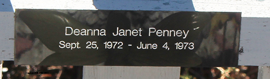 Deanna Janet Penney