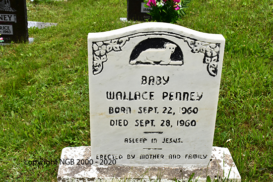 Baby Wallace Penney