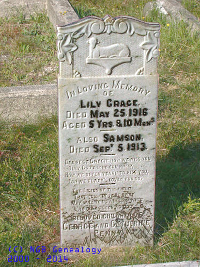 Lily, Sampson, and Lily Penny