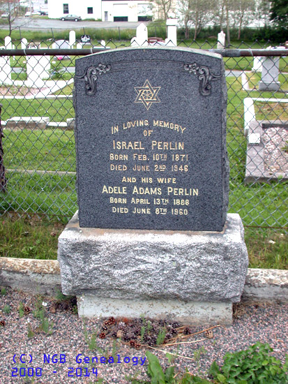 Israel and Adele Perlin