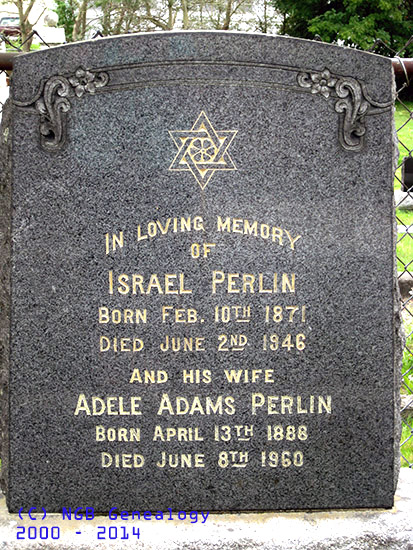 Israel and Adele Perlin