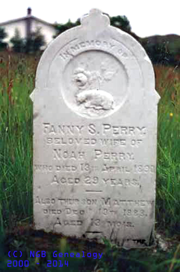 Fanny S. & Matthew PERRY