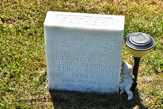 George William Perry