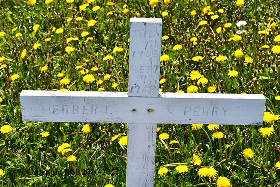 Herbert Perry