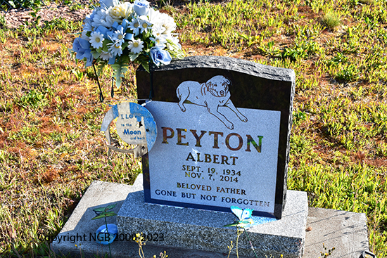 Albert Peyton