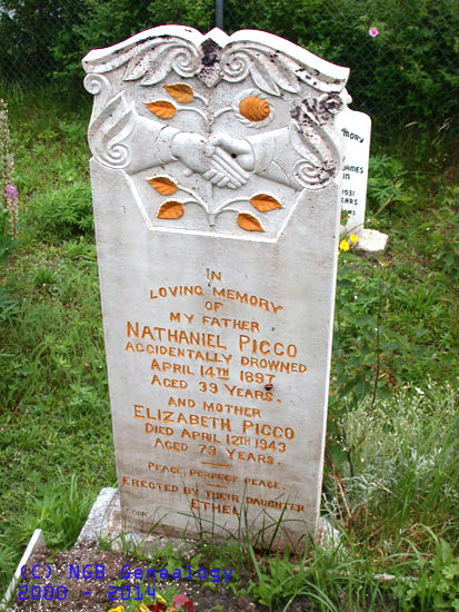 Nathaniel and Elizabeth Picco